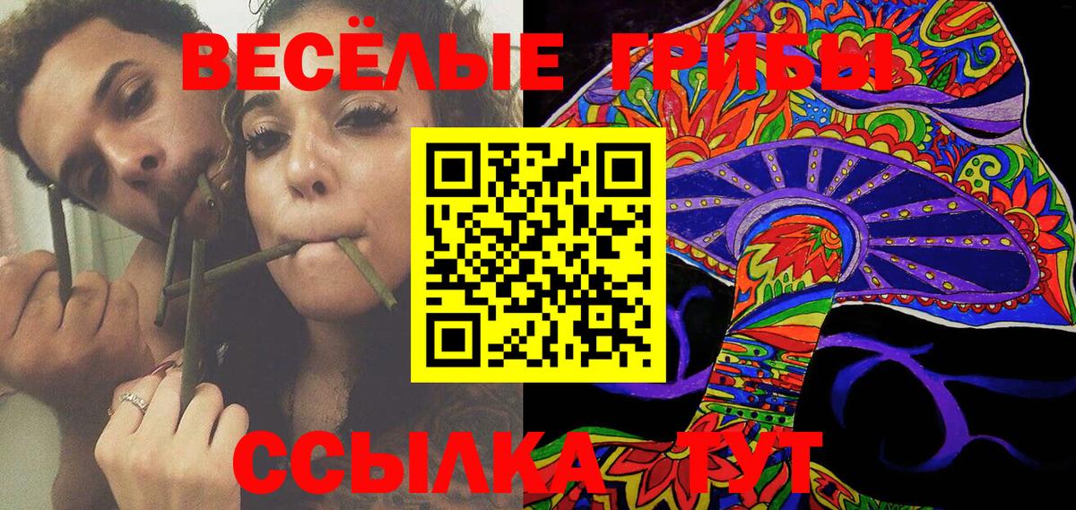 Полевской  Галлюциногенные грибы MAGIC MUSHROOMS  Вход с VPN 
